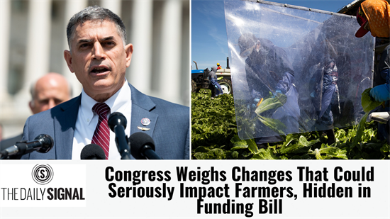 Congress Weigh Changes Article