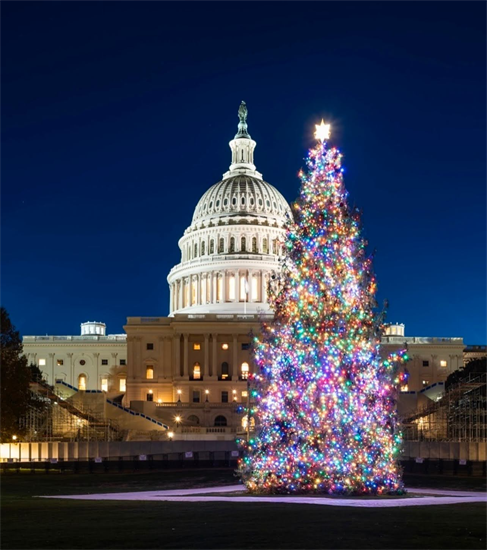 Christmas at the Capitol