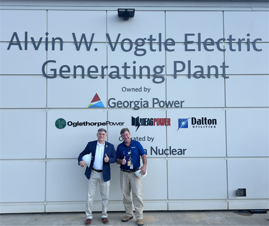 Plant Vogtle